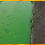 気持ち悪いというか不思議川の水が緑に変色毒性確認されず上流で赤い粉末奈良生駒市