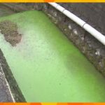 緑色の川から発色剤の成分入浴剤などに使用何者かが粉末を故意に投棄したか奈良生駒市