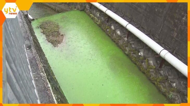 緑色の川から発色剤の成分入浴剤などに使用何者かが粉末を故意に投棄したか奈良生駒市