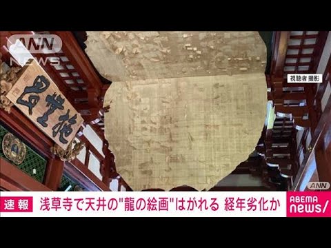参拝客の頭上で浅草寺で天井の龍の絵はがれる経年劣化か(2023年7月9日)