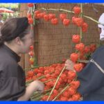 夏の風物詩真っ赤なほおずきが浅草寺に立ち並ぶ約120の露店でにぎわい再びTBSNEWSDIG