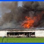 千葉・野田市の養豚場で火災 けが人の情報なし｜TBS NEWS DIG