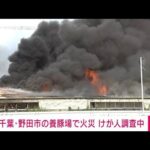 【速報】千葉・野田市の養豚場で火事　激しく黒煙上がる(2023年7月12日)