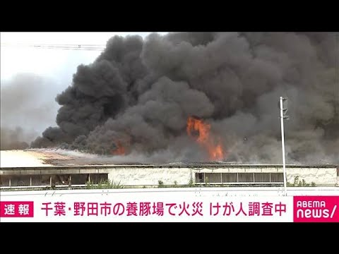 【速報】千葉・野田市の養豚場で火事　激しく黒煙上がる(2023年7月12日)