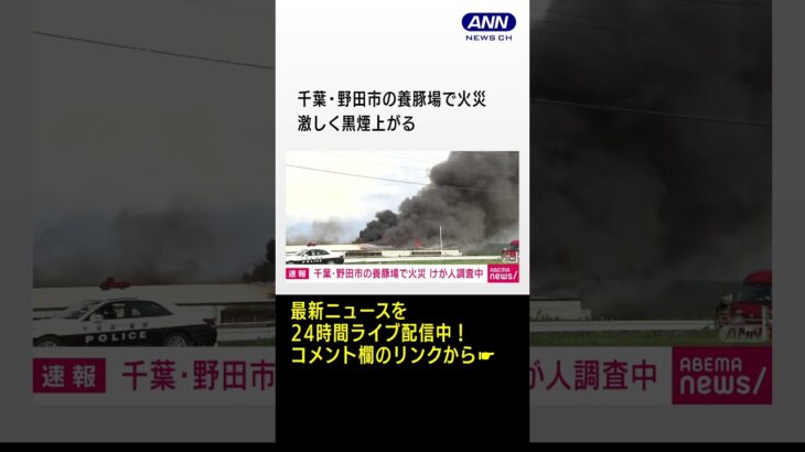 千葉・野田市の養豚場で火事　激しく黒煙上がる #shorts