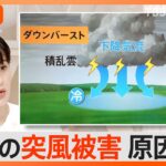 「竜巻だ」関東で連日“突風”被害、このような前触れに注意！【Nスタ解説】｜TBS NEWS DIG