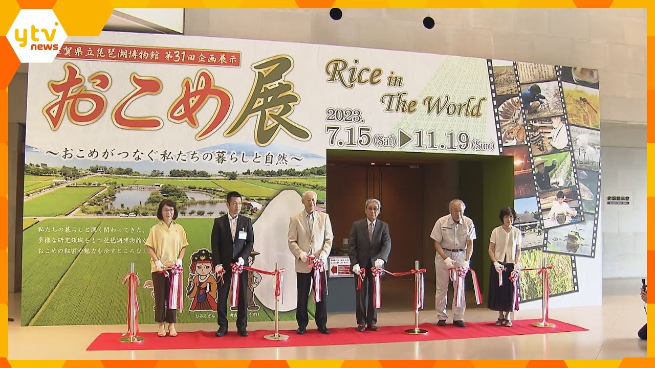 コメの歴史や魅力を伝える特別展　滋賀県立琵琶湖博物館で開催　田んぼと生き物のかかわりなど紹介