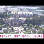 【速報】東京ディズニーリゾート　暑さで予定していたパレードと一部のショーを中止(2023年7月17日)