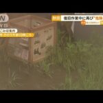 秋田　復旧作業中に再び…“危険な雨”【知っておきたい！】(2023年7月19日)