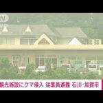 【速報】観光施設にクマ侵入　従業員避難　石川・加賀(2023年7月19日)