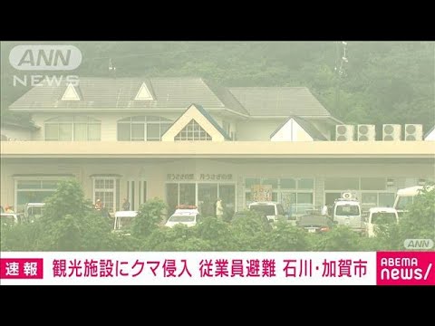 【速報】観光施設にクマ侵入　従業員避難　石川・加賀(2023年7月19日)