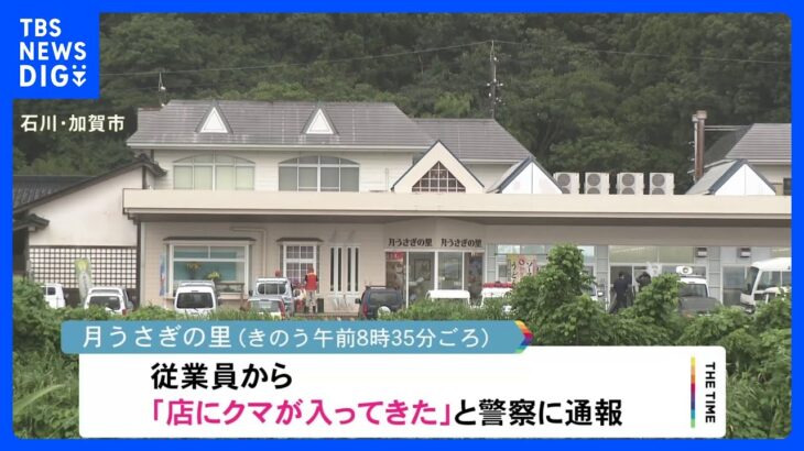 観光施設内を捜索もクマ見つからず　捕獲オリ設置しパトロール実施　石川・加賀市｜TBS NEWS DIG