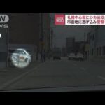 札幌中心部にシカ出没で大騒動　市街地に逃げ込み警察も出動(2023年7月20日)