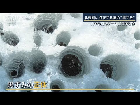 北極圏に点在する“黒ずみ”正体は？日本の研究チームの調査本格化【北極ノート】(2023年7月20日)