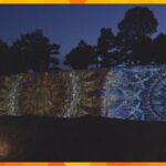世界遺産・二条城でライトアップイベント　７５ｍの石垣に映し出される“花火”も　８月２０日まで