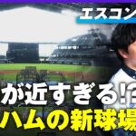 【日本ハム】野球が見やすい！選手が近い！エスコンフィールドHOKKAIDOに潜入【第1弾】｜バズ！パ・リーグ