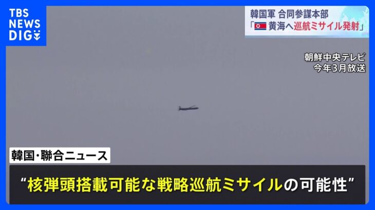 核弾頭を搭載可能なミサイルか　北朝鮮が発射した巡航ミサイルについて韓国メディアが指摘｜TBS NEWS DIG