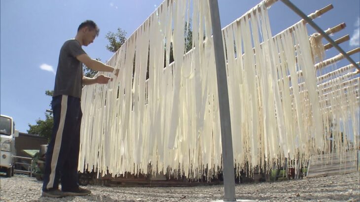 特産の水口かんぴょう天日干し作業が最盛期　主に贈答用として京阪神などに出荷される　滋賀県甲賀市