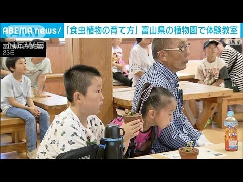 「ハエトリグサ」の秘密は？「食虫植物を育てよう」富山県中央植物園で体験教室(2023年7月23日)