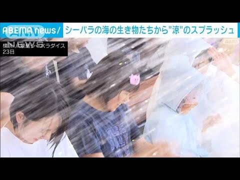 ずぶ濡れ演出に大興奮！シーパラの海の生き物たちから“涼”のスプラッシュ(2023年7月24日)