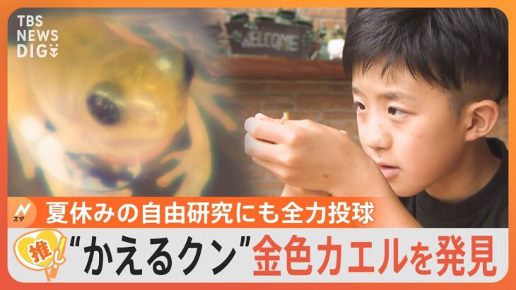 「将来の夢は自分の水族館を建てて…」カエルが大好きな富山の小学生“かえるクン”　夏休みの自由研究にも全力投球　｜TBS NEWS DIG