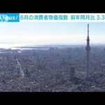 【速報】6月の消費者物価指数3．3％上昇　電気代値上げ影響し2カ月ぶりの拡大幅(2023年7月21日)