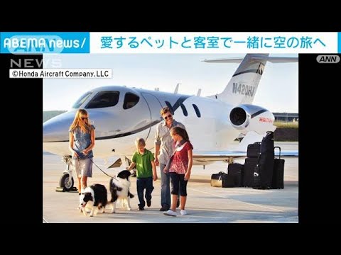 ペットと並んで空の旅　小型ジェット機チャーターサービス販売(2023年7月24日)