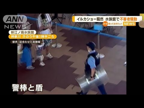 イルカショーで“不審者”騒動　警察官出動し客は退場「怖かった」　新江ノ島水族館【知っておきたい！】(2023年7月25日)