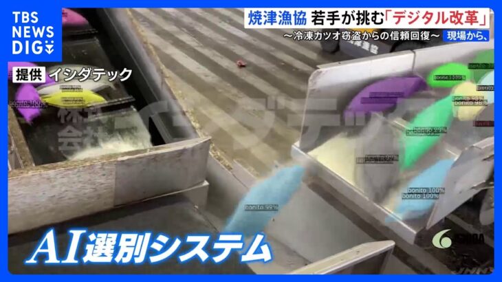 繰り返された窃盗行為 地に落ちた「カツオ水揚げ日本一」の名声　復活切り札は若手が挑む“デジタル化”　静岡・焼津漁港｜TBS NEWS DIG