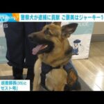 強盗犯の足跡たどり自宅特定　警察犬のお手柄で犯人逮捕　ご褒美はジャーキー100日分(2023年7月25日)