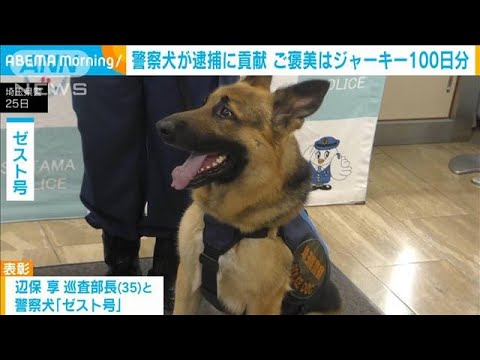 強盗犯の足跡たどり自宅特定　警察犬のお手柄で犯人逮捕　ご褒美はジャーキー100日分(2023年7月25日)