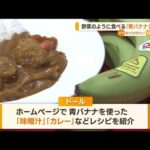 「青バナナ」販売へ　“新しい食べ方”みそ汁やカレーにも…食品ロス削減　記者が実食【知っておきたい！】(2023年7月26日)