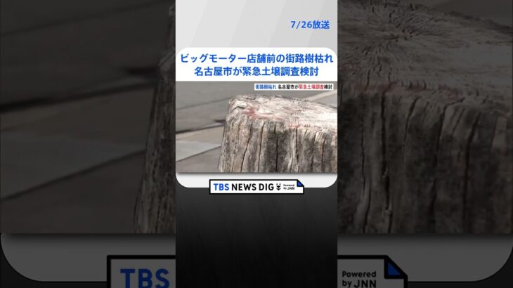 ビッグモーター　店舗前の街路樹枯れ　名古屋市が緊急土壌調査検討 | TBS NEWS DIG #shorts