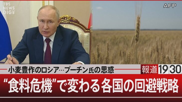 小麦豊作のロシア…プーチン氏の思惑 “食料危機”で変わる各国の回避戦略【7月26日（水）#報道1930】