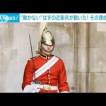 “動かない”はずの英国近衛兵が勤務中に「動いた！？」その理由に称賛の声相次ぐ(2023年7月27日)