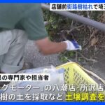 ビッグモーター街路樹問題　埼玉県が除草剤含まれていないか土壌調査　神奈川では店のヒアリング開始｜TBS NEWS DIG