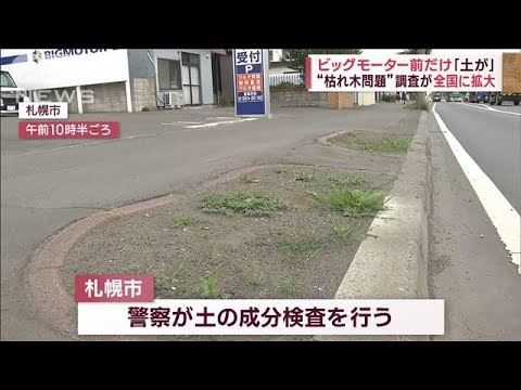 ビッグモーター前だけ「土が」“枯れ木問題”調査が全国に拡大(2023年7月27日)