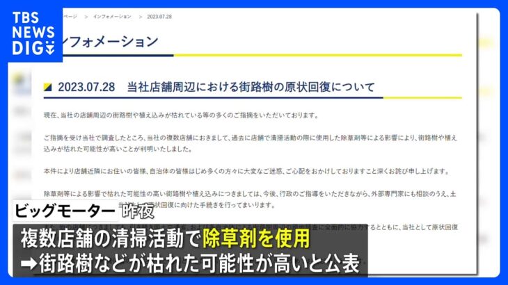 「清掃活動の際に除草剤使用」街路樹問題　ビッグモーターが事実認め謝罪｜TBS NEWS DIG