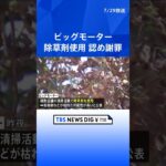 「清掃活動の際に除草剤使用」街路樹問題　ビッグモーターが事実認め謝罪| TBS NEWS DIG #shorts