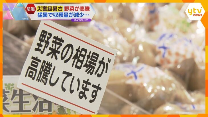 災害級の暑さは家計も直撃　暑さで収穫量が減少し、ジャガイモ、トマトや葉物野菜などの価格が高騰　