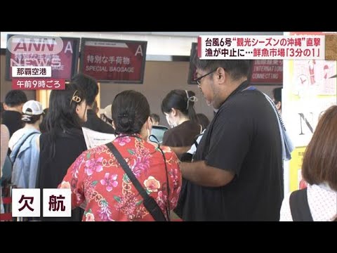 台風6号“観光シーズンの沖縄”直撃　40人予約もキャンセルで悲鳴(2023年7月31日)