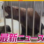 【ニュースライブ 7/12(水)】「君しかありえない」取り調べ/コロナ禍経験５歳児に約４か月の発達遅れ/工事の入札情報を漏らし見返り５０万円　ほか【随時更新】