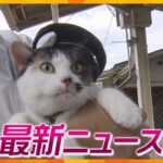 ニュースライブ 7/5(水)猫の駅長代理よんたまが参加/消防署員が放火はパワハラが一因か/詐欺疑いで近ツー元支店長ら再逮捕ほか随時更新