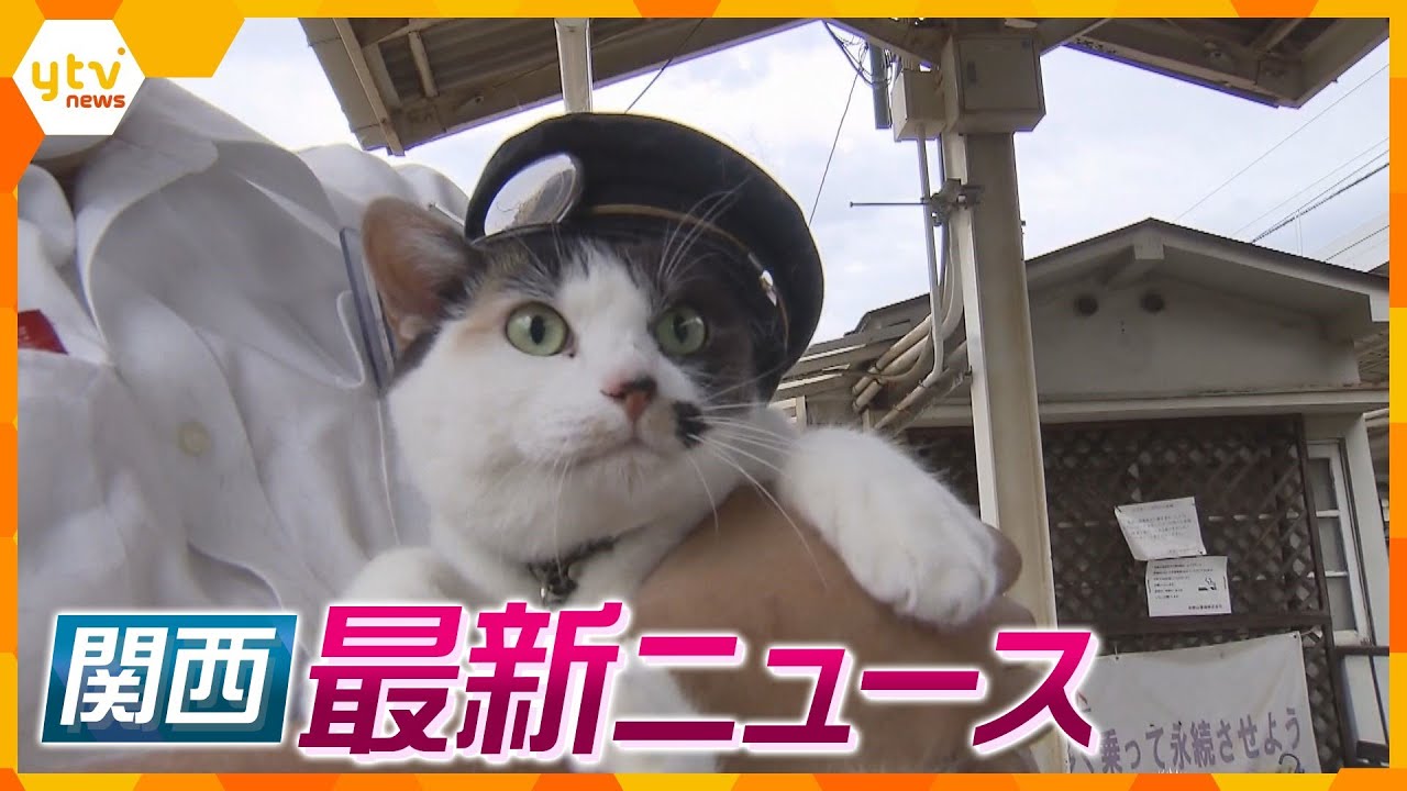 ニュースライブ 7/5(水)猫の駅長代理よんたまが参加/消防署員が放火はパワハラが一因か/詐欺疑いで近ツー元支店長ら再逮捕ほか随時更新