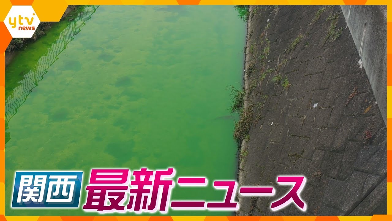 ニュースライブ 7/5(水)川の水が蛍光緑に変色/京都井手町 女性殺害の男に懲役18年/祇園祭吉符入りの儀ほか随時更新