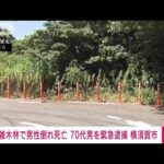 雑木林で男性倒れ死亡 「自分が殺した」70代の男逮捕　神奈川・横須賀市(2023年7月23日)