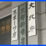 大学・高専で生成AIの使用「教育の実態に合わせて指針作りを」活用できる場面や留意点なども記載｜TBS NEWS DIG