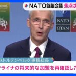 NATO首脳会議  ウクライナ加盟について“将来的な加盟を再確認”も明確な期限は設けず｜TBS NEWS DIG