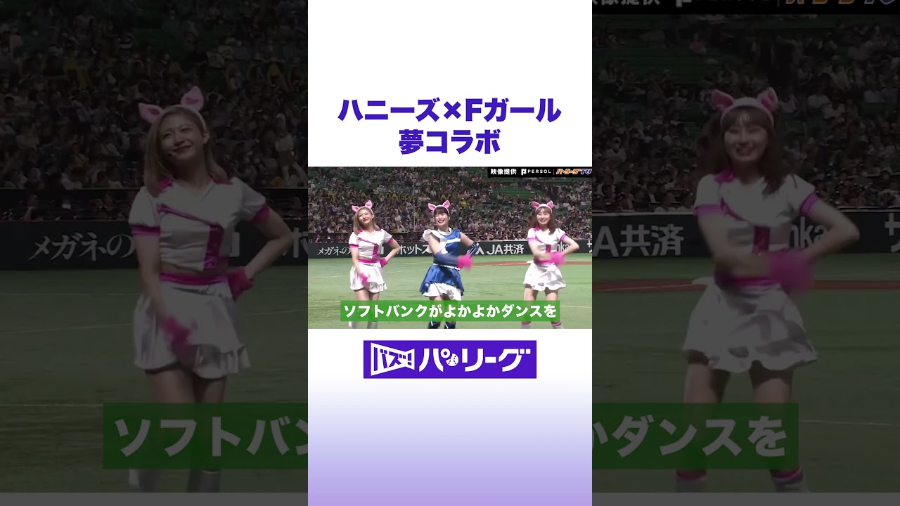 ハニーズ×Fガール 夢コラボ #バズパ #shorts