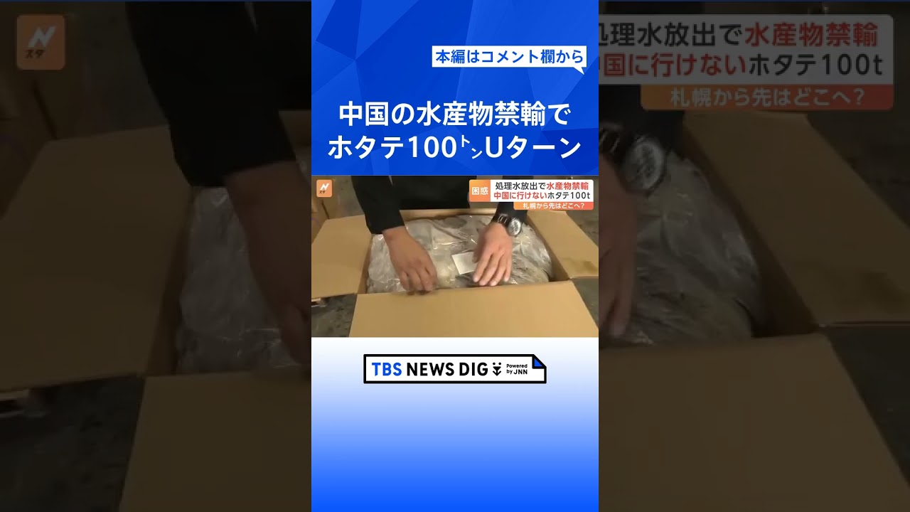 処理水放出で水産物禁輸 中国に行けないホタテ100トン 行き場を失ったホタテはどこへ?|TBS NEWS DIG #shorts